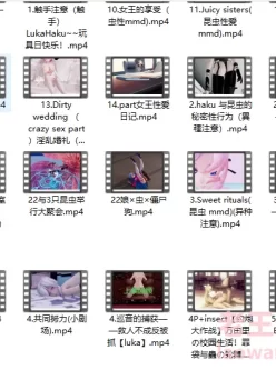 [自行打包] 自整理罪袋mmd合集 [20++13.52G][百度盘]