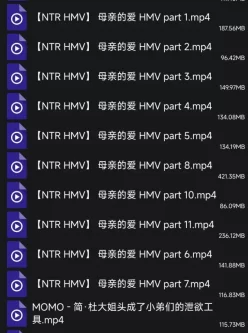 [自行打包] 自己收藏的mmd(三十五)--绝大多数是ntr [30V+10.96G][百度盘]